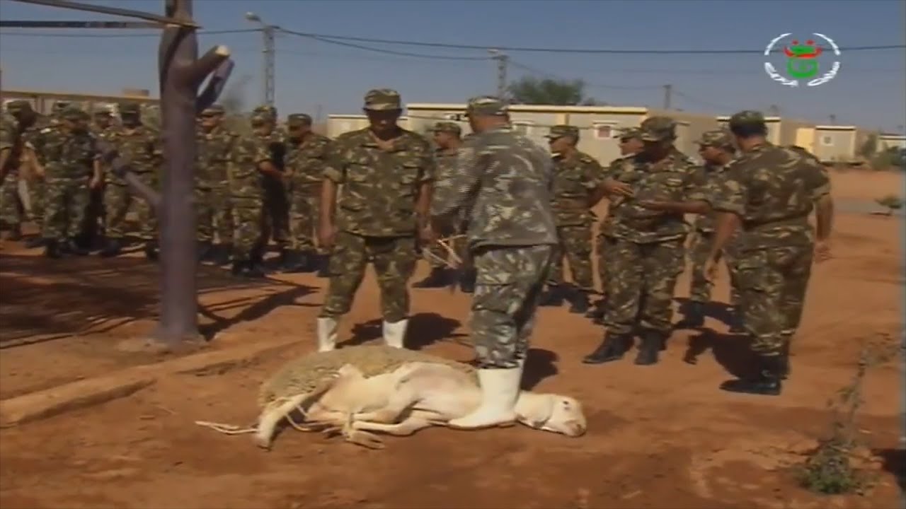 مقطع فيديو أثار اعجاب الجزائريين ..  هكذا أحيا الجيش الجزائري أول أيام عيد الأضحى