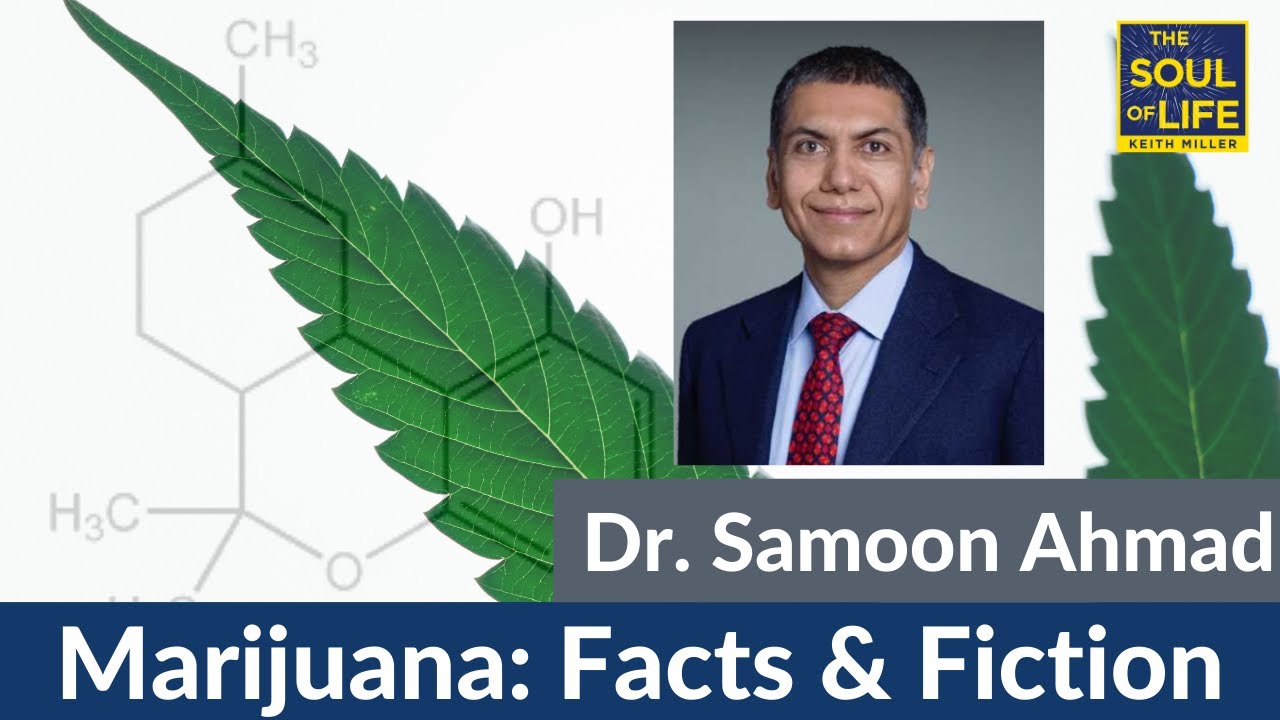 Reefer Madness: Sorting Fact from Fiction in the Clinical Uses of Marijuana