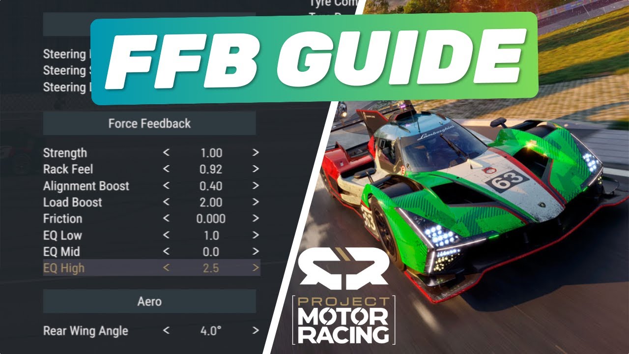 Руководство по Project Motor Racing FFB (Fanatec CSL DD)