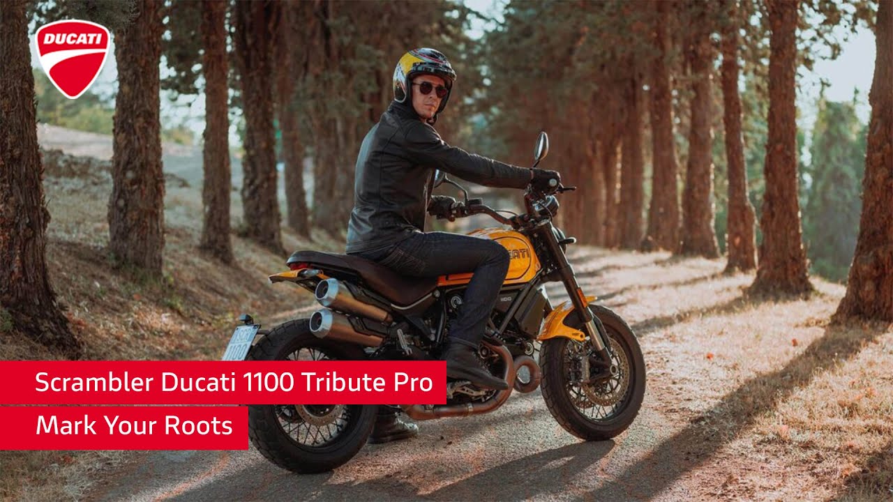 Scrambler Ducati 1100 Tribute Pro | Mark Your Roots