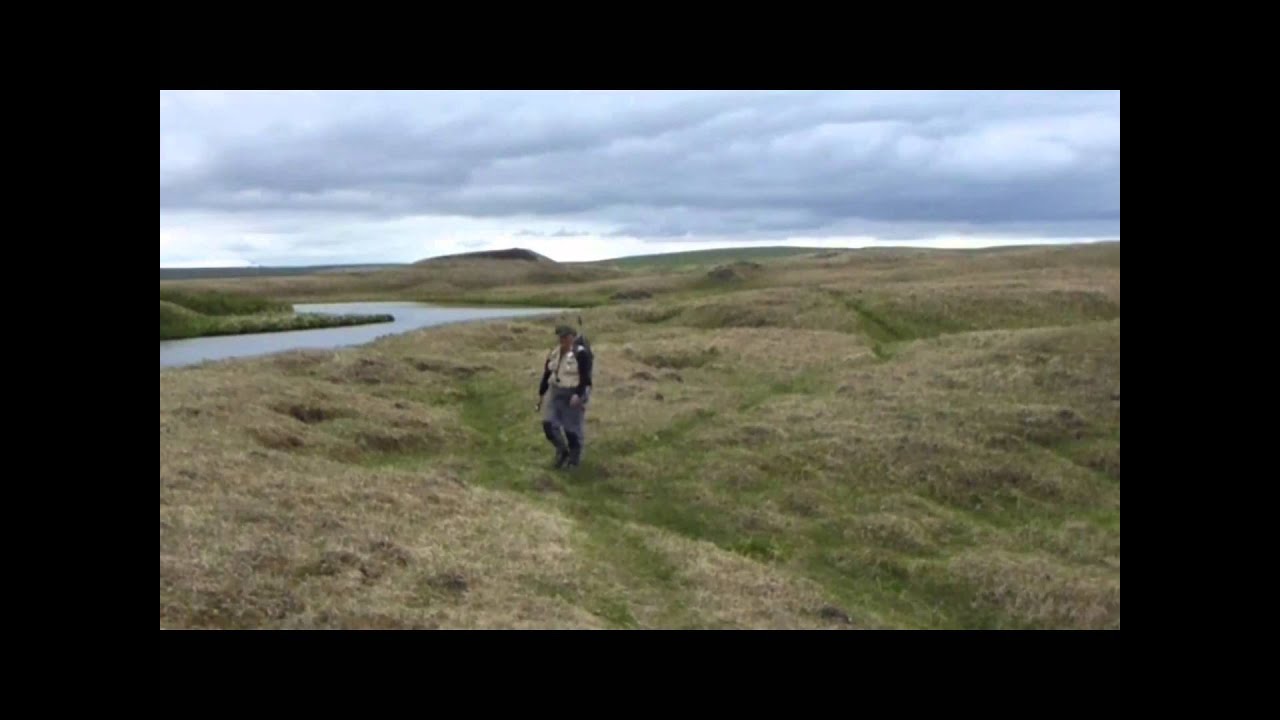 Island Laxa 2014