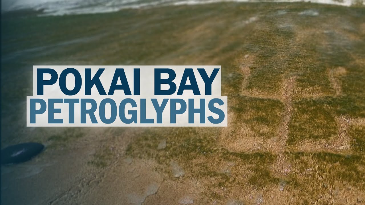 Huge petroglyphs covered for years unearthed again at Pokai Bay