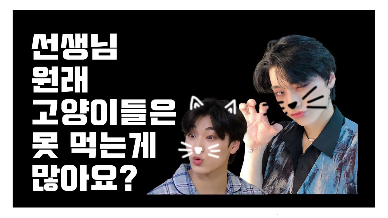 에이티즈 산(ATEEZ SAN) :: 편식하는 산냥이 DIARY