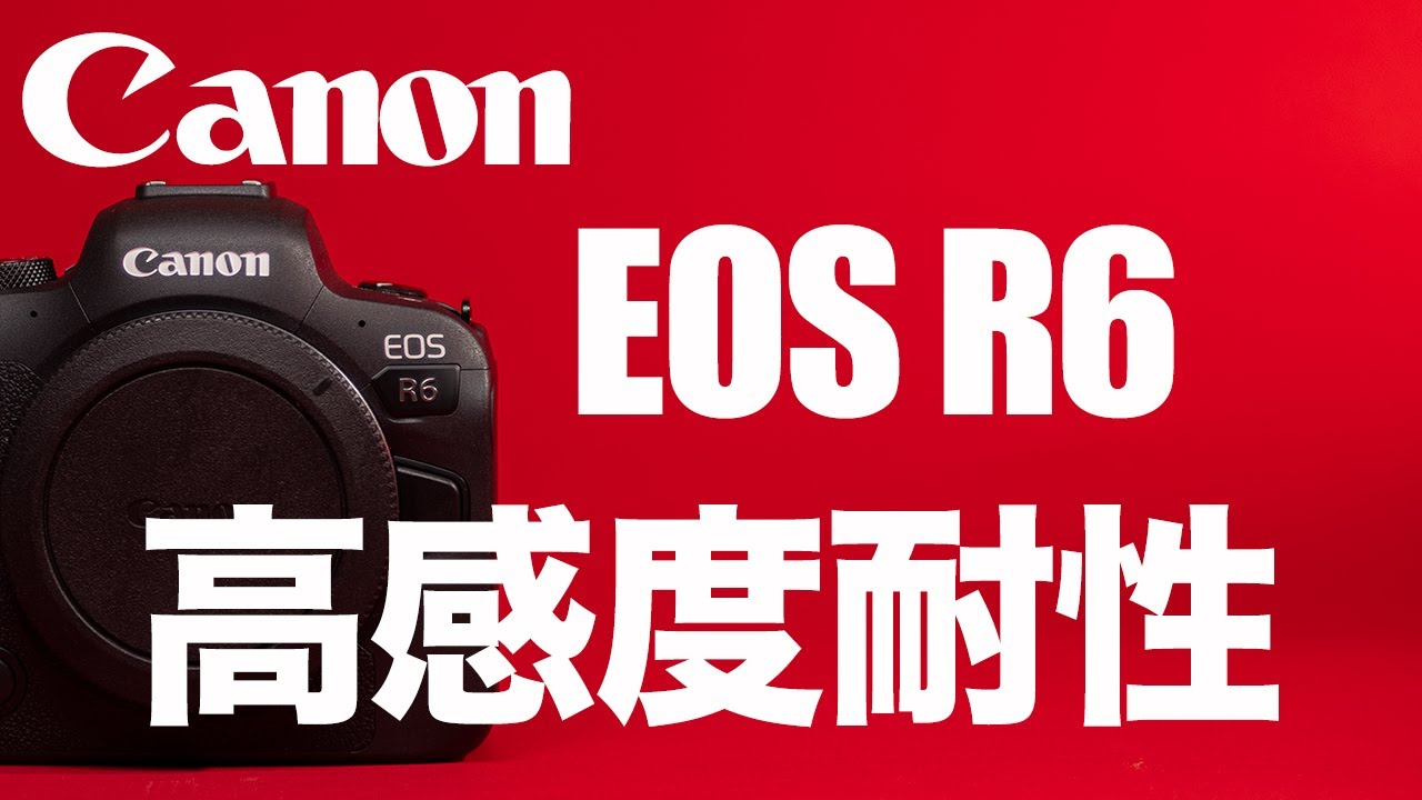【Canon】EOSR6の高感度耐性についての感想です