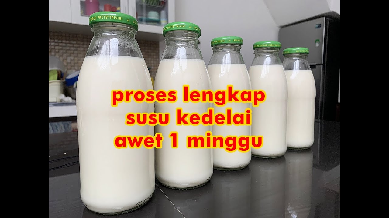 membuat susu kedelai gampang gak pake repot tanpa bahan pengawet tahan sampe 1 minggu