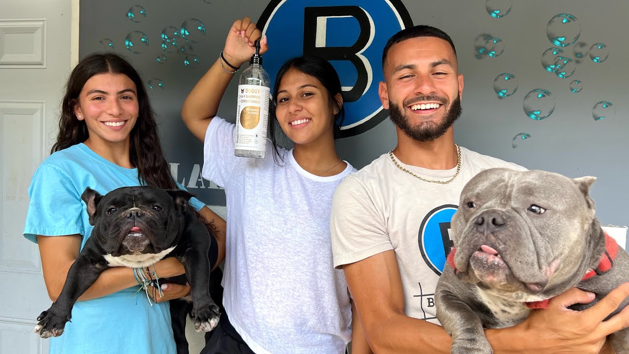 WASHING ALL MY DOGS IN ONE VIDEO! *EPIC*