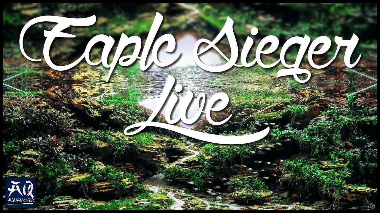 EAPLC offizielle Preisverleihung (Livestream) | AquaOwner