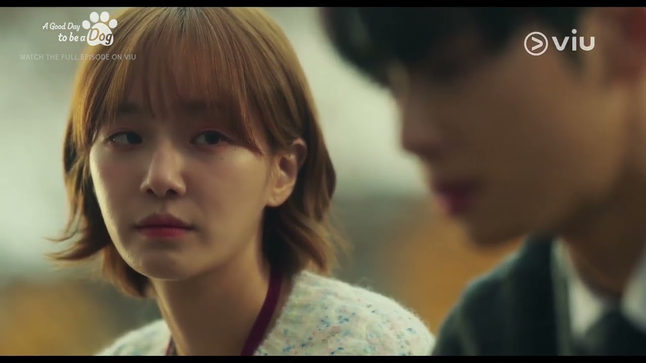 Han Hae Na (Park Gyu Young) comforts Jin Seo Won (Cha Eun Woo) | A Good Day to be a Dog EP 5 | Viu