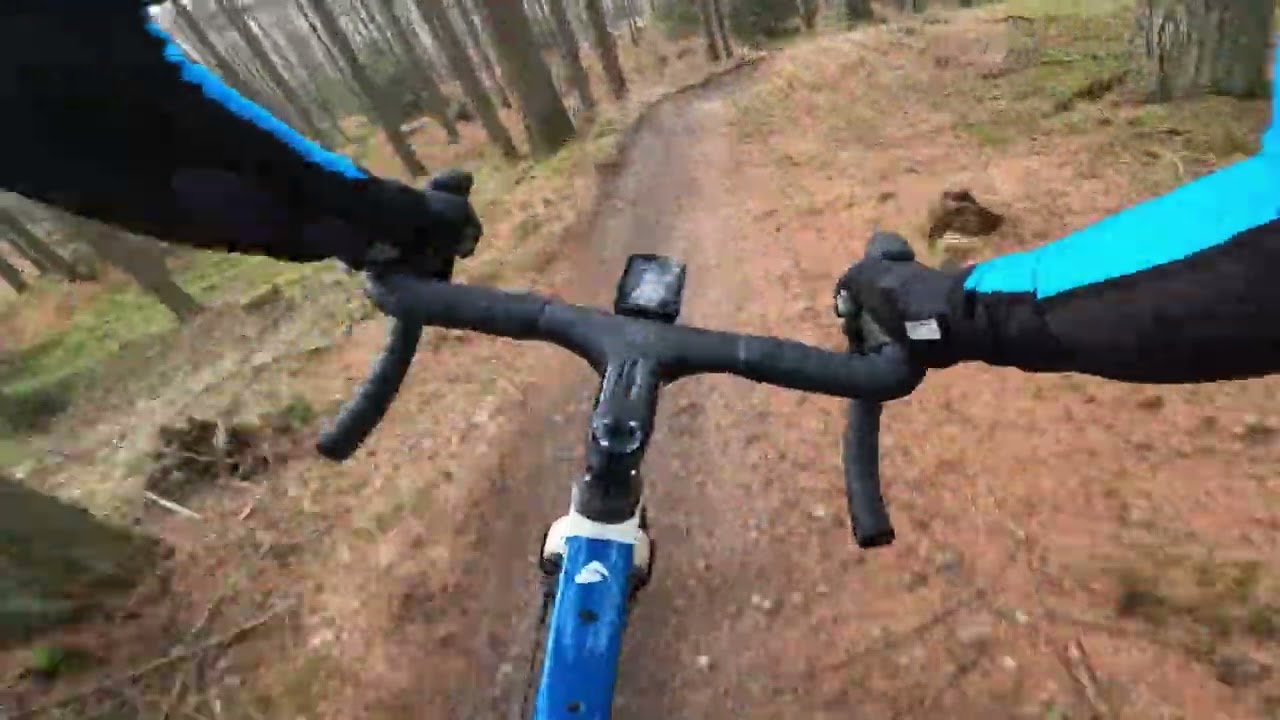 KAN MAN KØRE GRAVEL CYKEL på BLÅ SPOR i VESTERSKOVEN Silkeborg