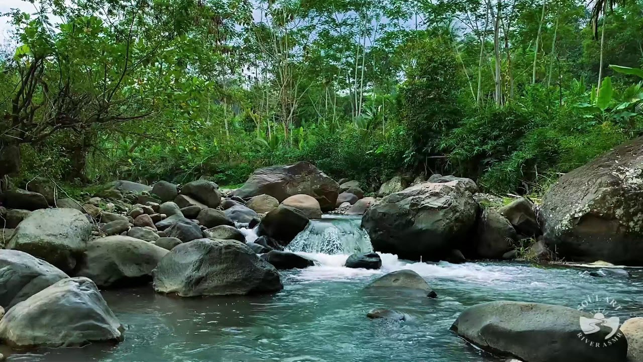 River Sounds & waterfall Sounds for Sleeping | Nature Stream for Relaxing & Stress Relief. #river 1