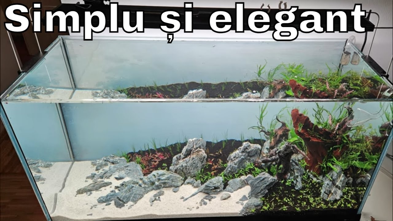Un acvariu amenajat minimalist  (Un aquascape ușor de întreținut)