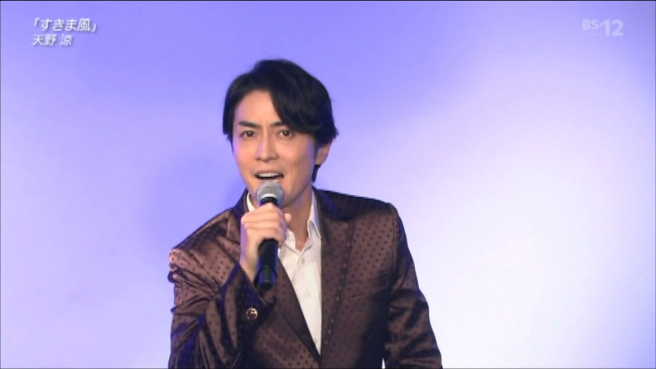 すきま風（杉良太郎）/天野涼
