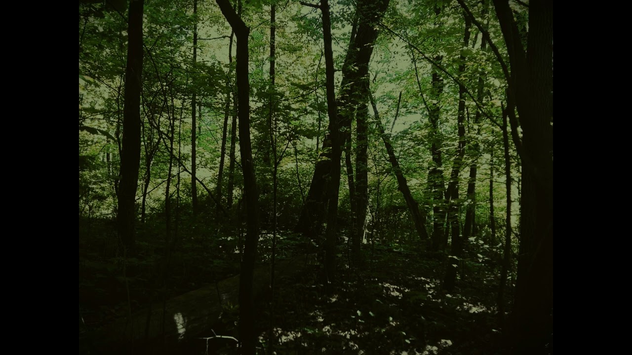 Lord Huron -  Meet Me In The Woods Instrumental (slowed + reverbed)