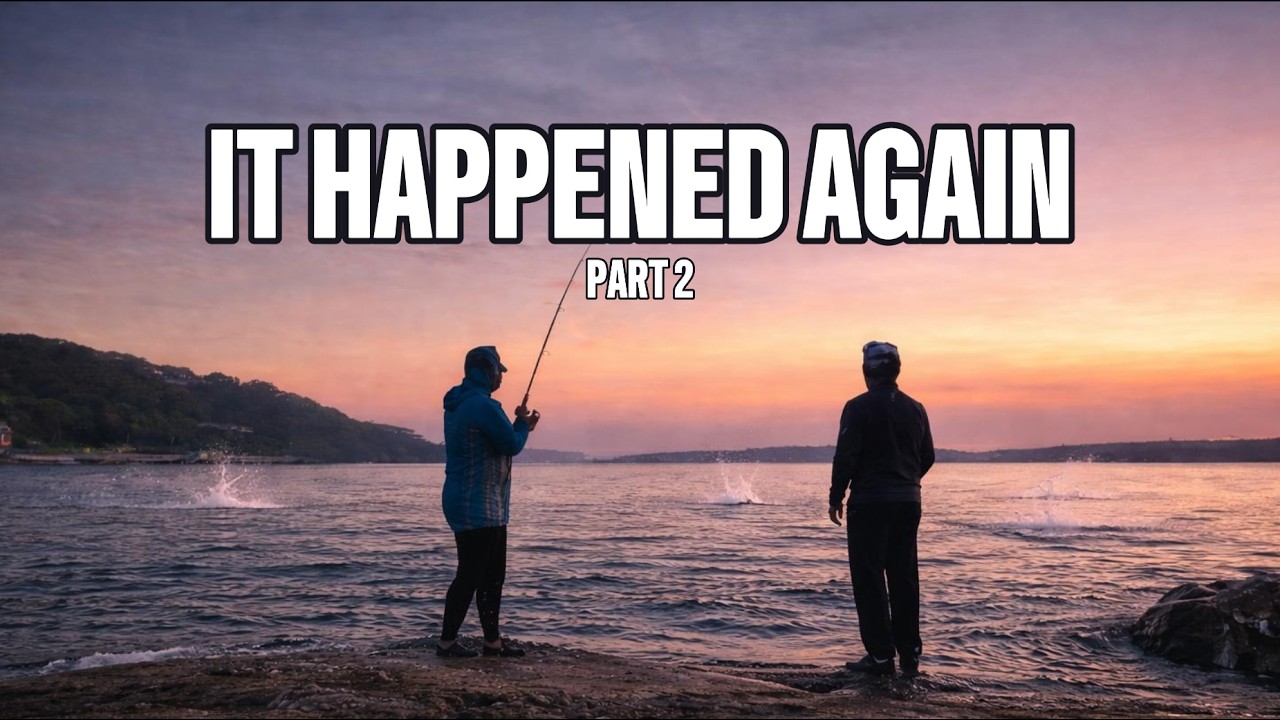 Sydney Harbour on fire again | Lurefishing at its finest