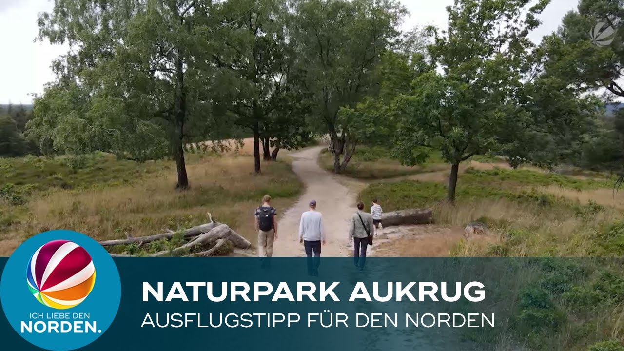 Naturpark Aukrug bei Neumünster – Die SAT.1 REGIONAL Sommertour