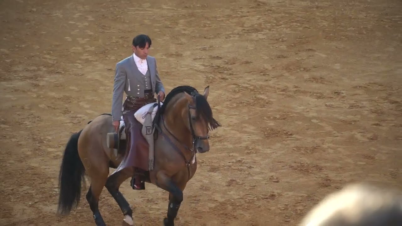 Yeguada en plaza de toros Rejoneadores Diego Ventura y Andrés Romero | Huelva Merced Colombinas