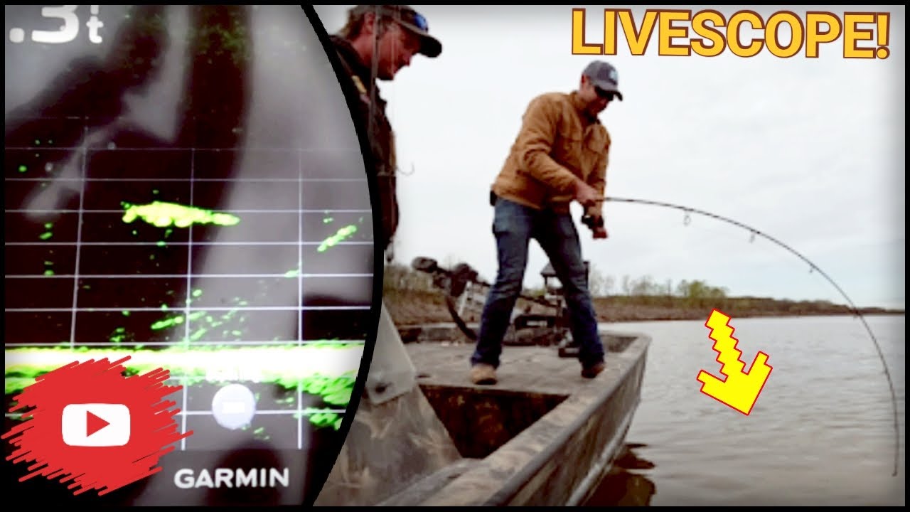 Ловля веслоноса с помощью Garmin Livescope! — Трумэн-Лейк