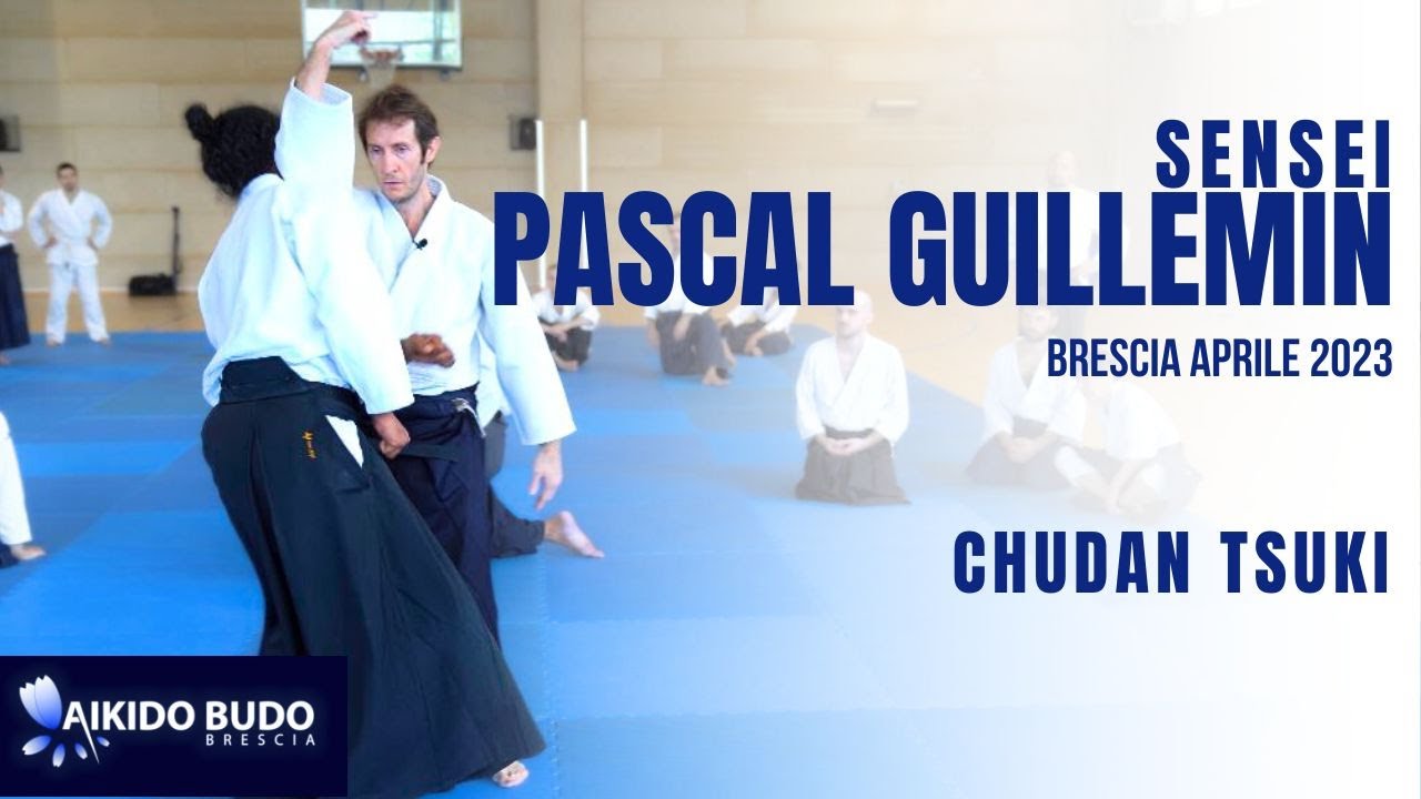 Pascal Guillemin: seminar in Brescia '23-workin on chudan tsuki