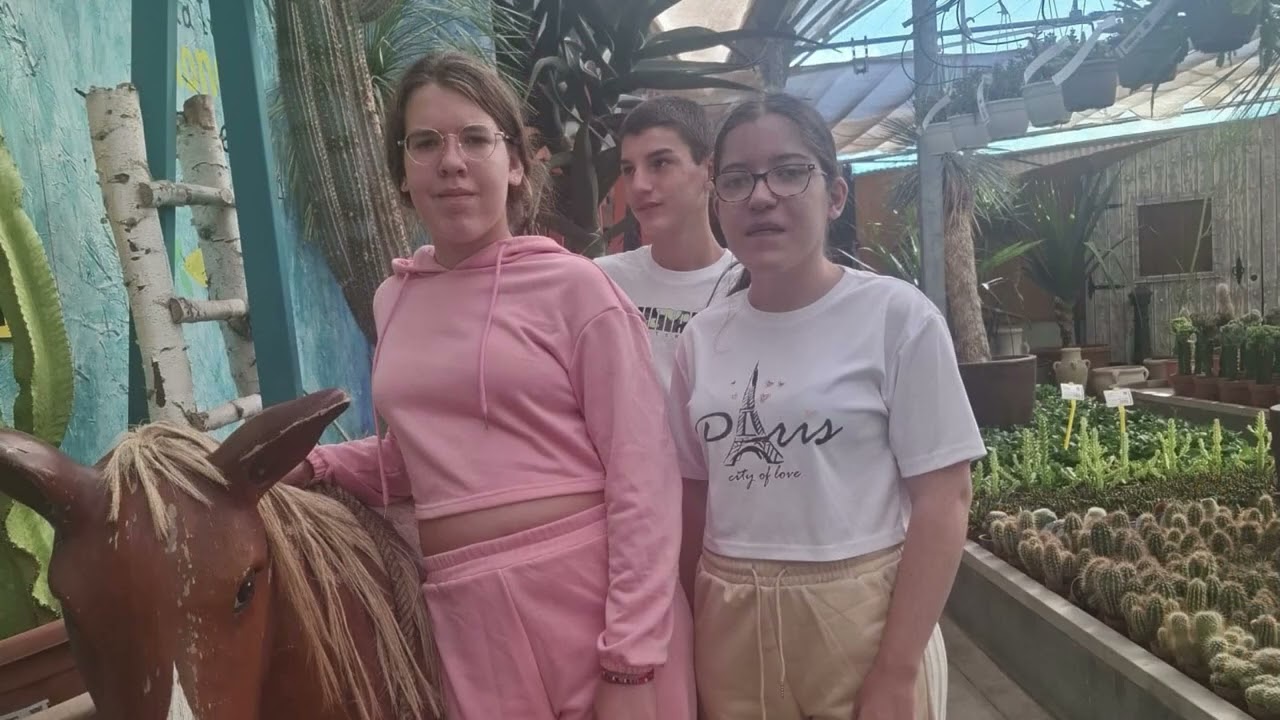 Día de la discapacidad en el IES Martín de Aldehuela