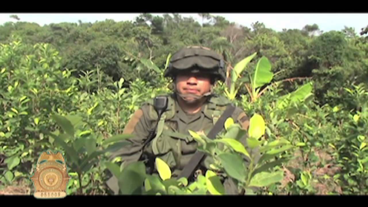 Un día con los Escuadrones Móviles de Carabineros EMCAR - policiadecolombia