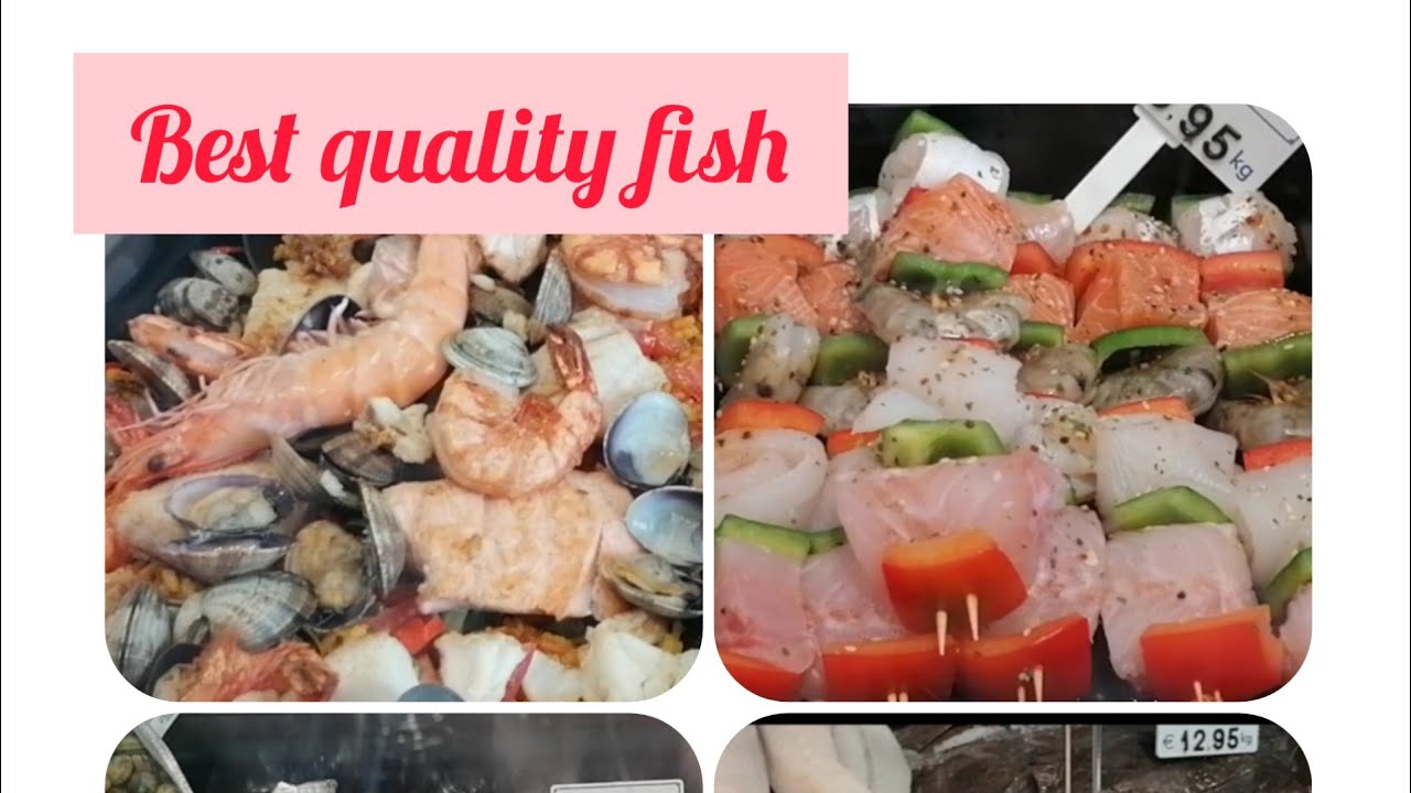 BEST QUALITY FISH STORE IN OOSTENDE BELGIUM 🐟🐠🦈