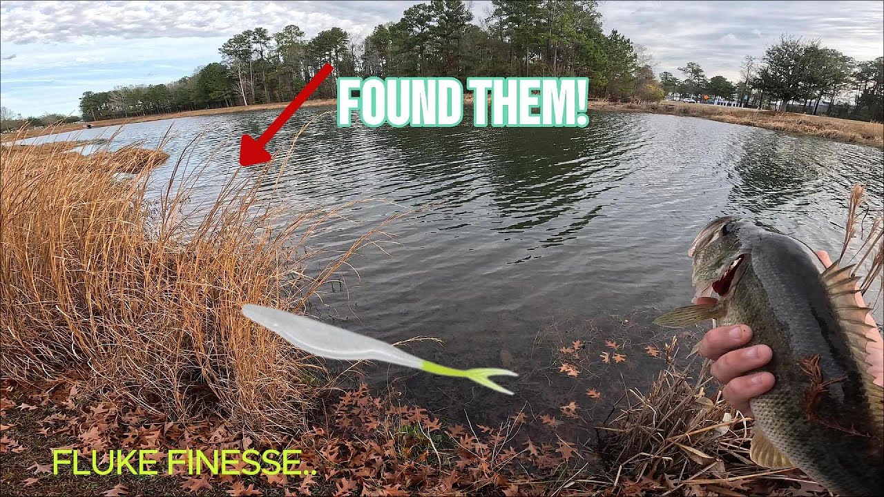 Relaxing Pond Bass Sunday!
