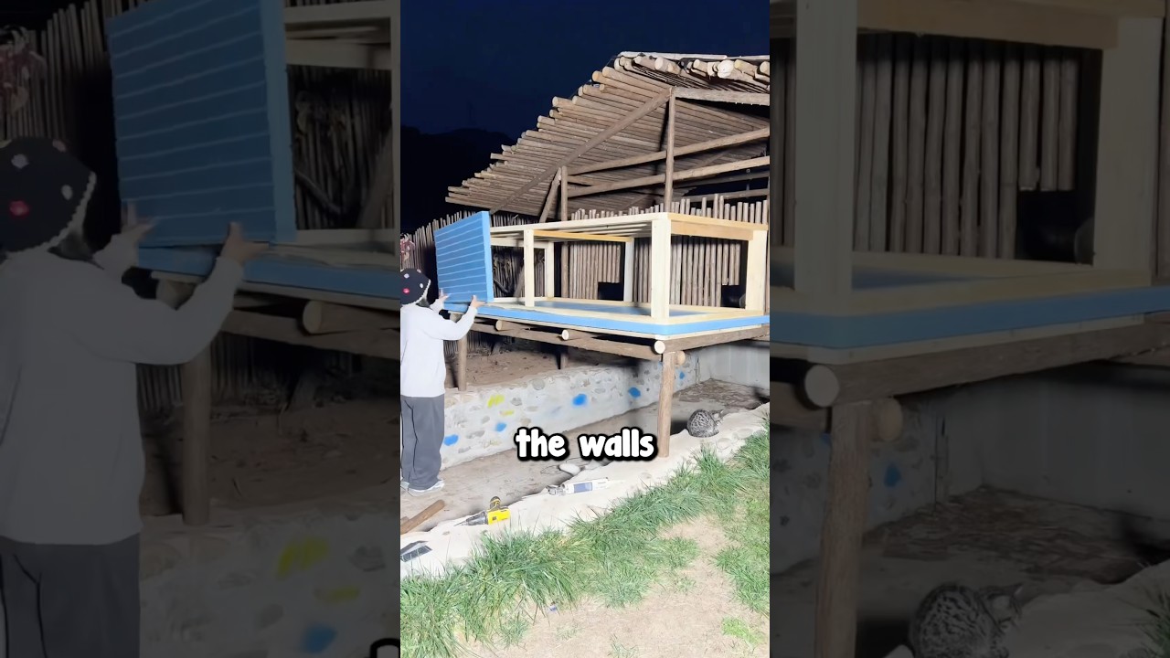 Upgrading a Cat Shelter 😱❤️