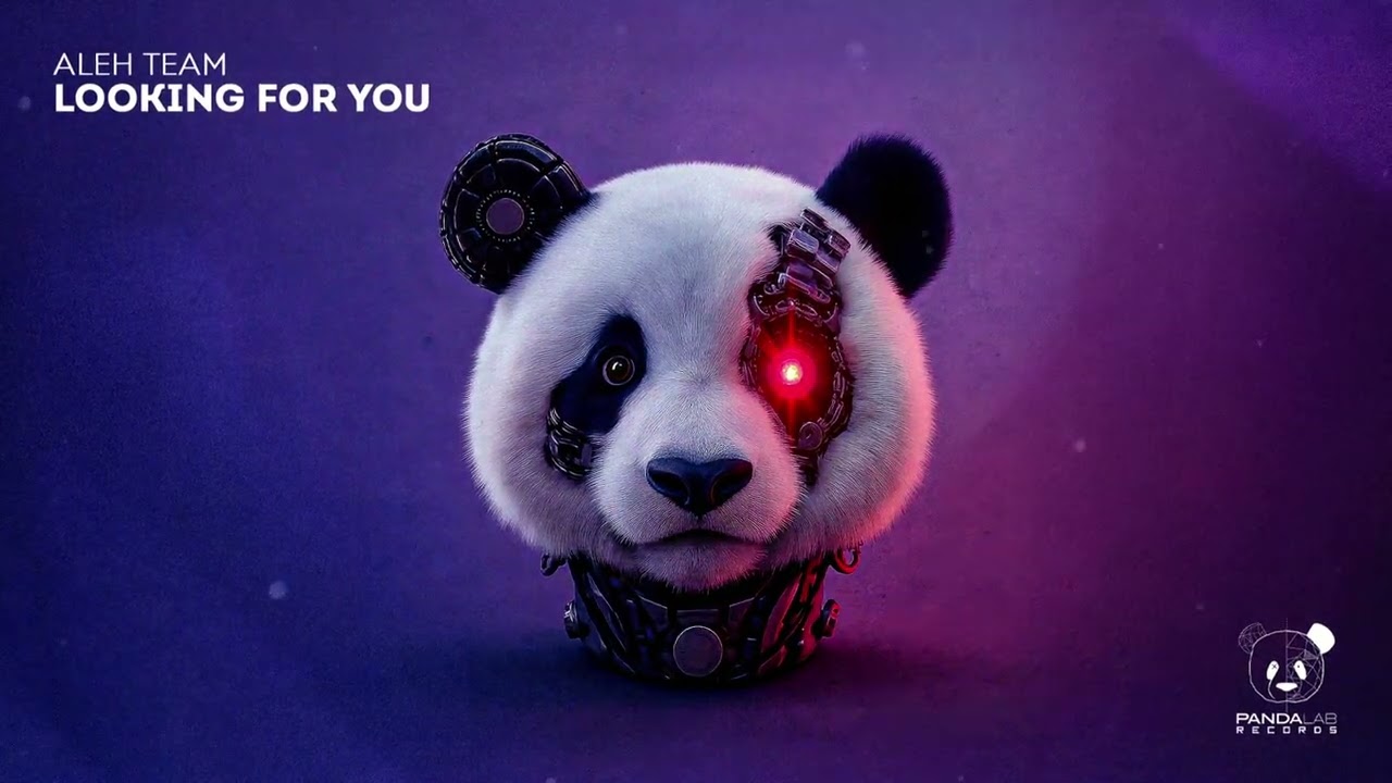 Aleh Team - Looking For You (Original Mix)