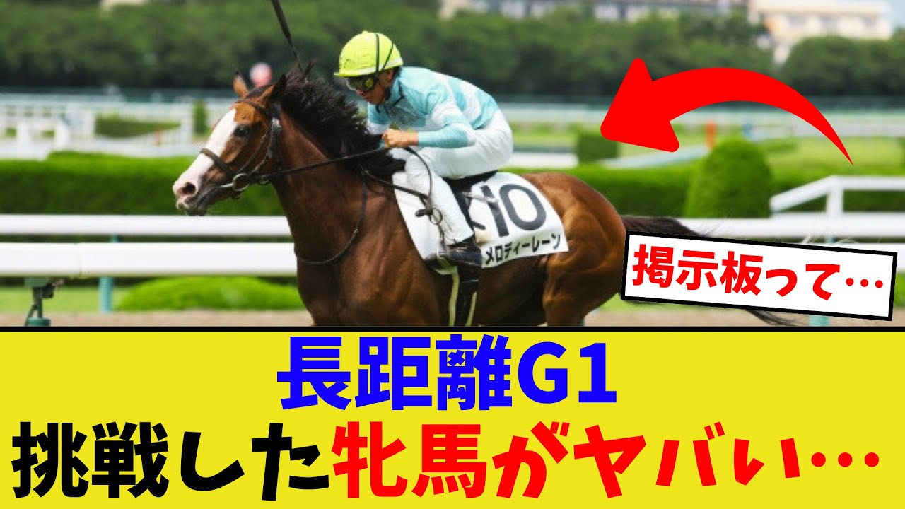 牝馬が菊花賞に挑戦するのって珍しいの？【競馬反応集】