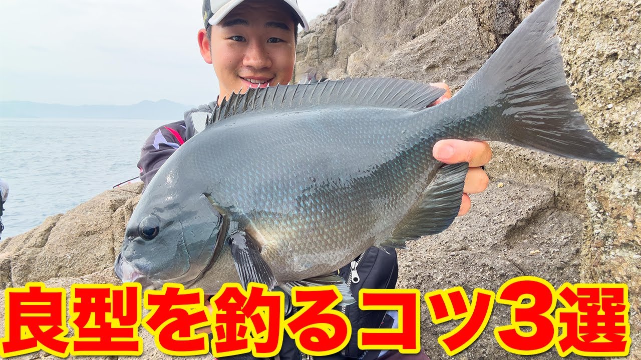 【初心者必見】大型グレ連発！この3つをするだけで釣果が劇的に変わります。木っ端尾長対策