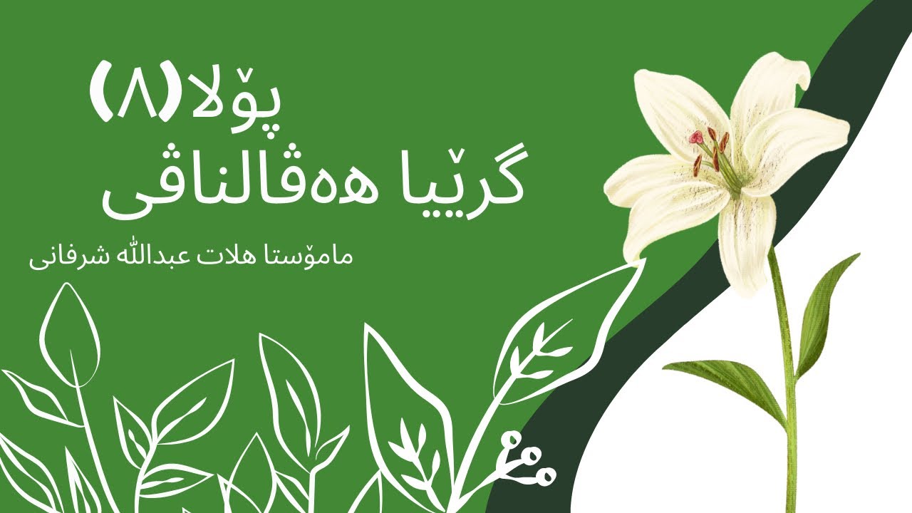 گرێیا هەڤالناڤی پۆلا۸