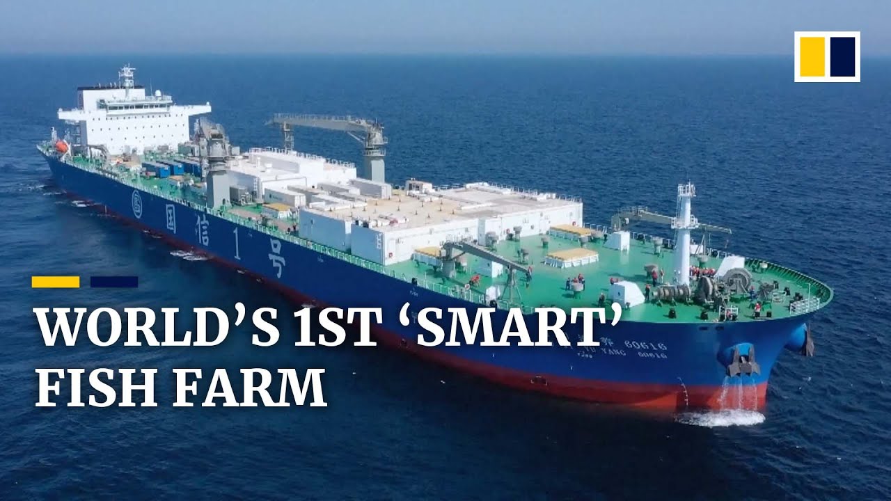 World&rsquo;s first &lsquo;smart&rsquo; fishing ship Guoxin-1 unveiled in China