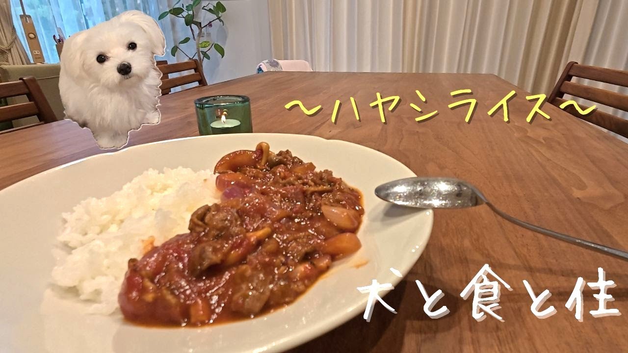 【マルチーズとの暮らし】夏のキッチンの楽しみ方、暑い夏にぴったり「ハヤシライス」