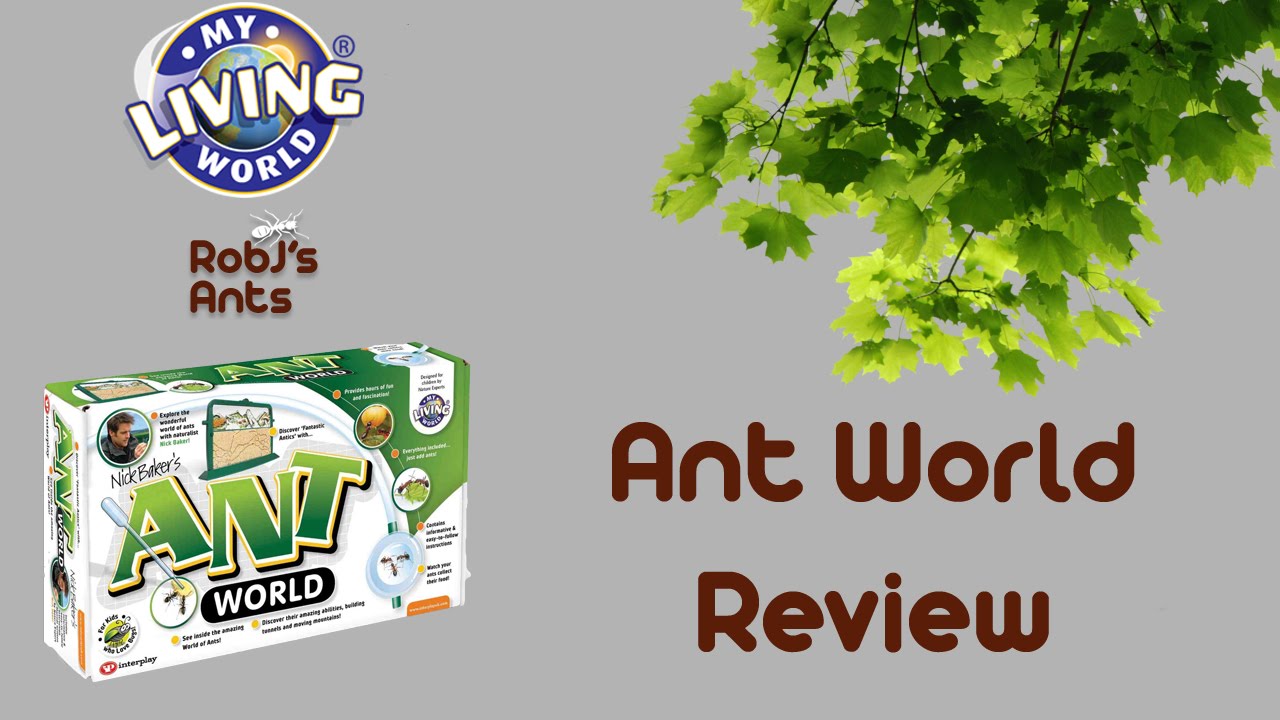 Interplay | Ant World Review