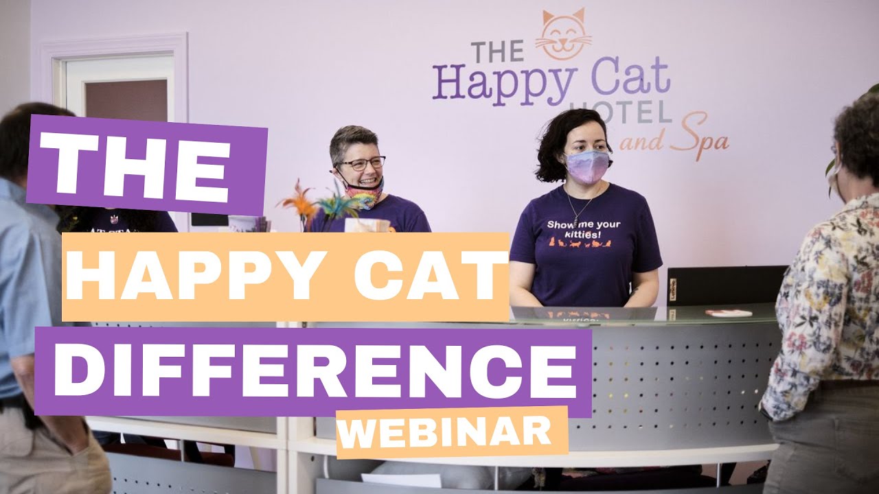 The Happy Cat Difference Webinar
