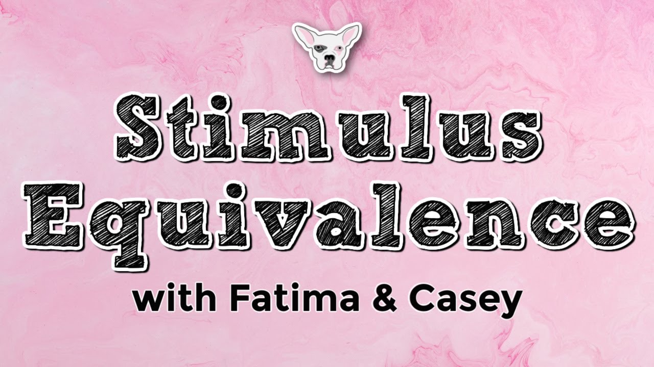 Stimulus Equivalence with Fatima & Casey