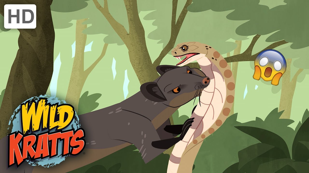 Wild Kratts | Cobra VENOM|Wildlife
