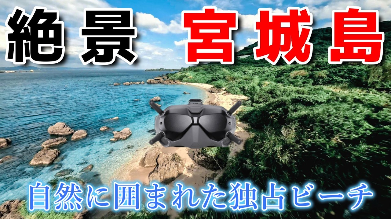 DJI FPV４
