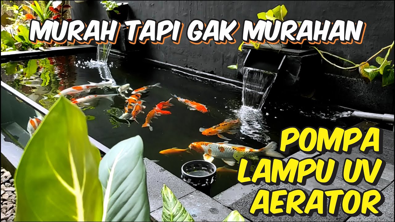KOI POND - Review POMPA Yamano ACT5800, LAMPU UV Yang, AERATOR Rosston Q6