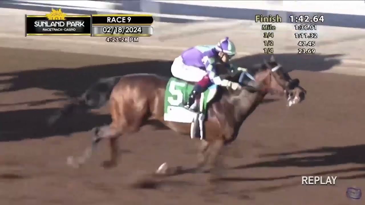 Stronghold Wins the Sunland Derby - Derby Prep - Sunland Park Race Track - 2/18/24