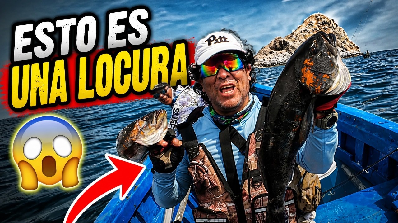TREMENDAS CABRILLAS | NO LA PODIAN LEVANTAR | Tablita Fishing