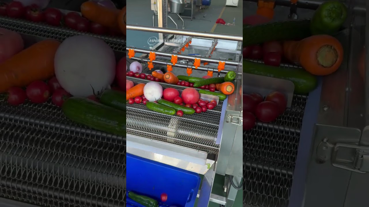 Vegetable Brush Washing Machine Demo｜Automatic Root Vegetable Cleaner#Brush cleaning machine