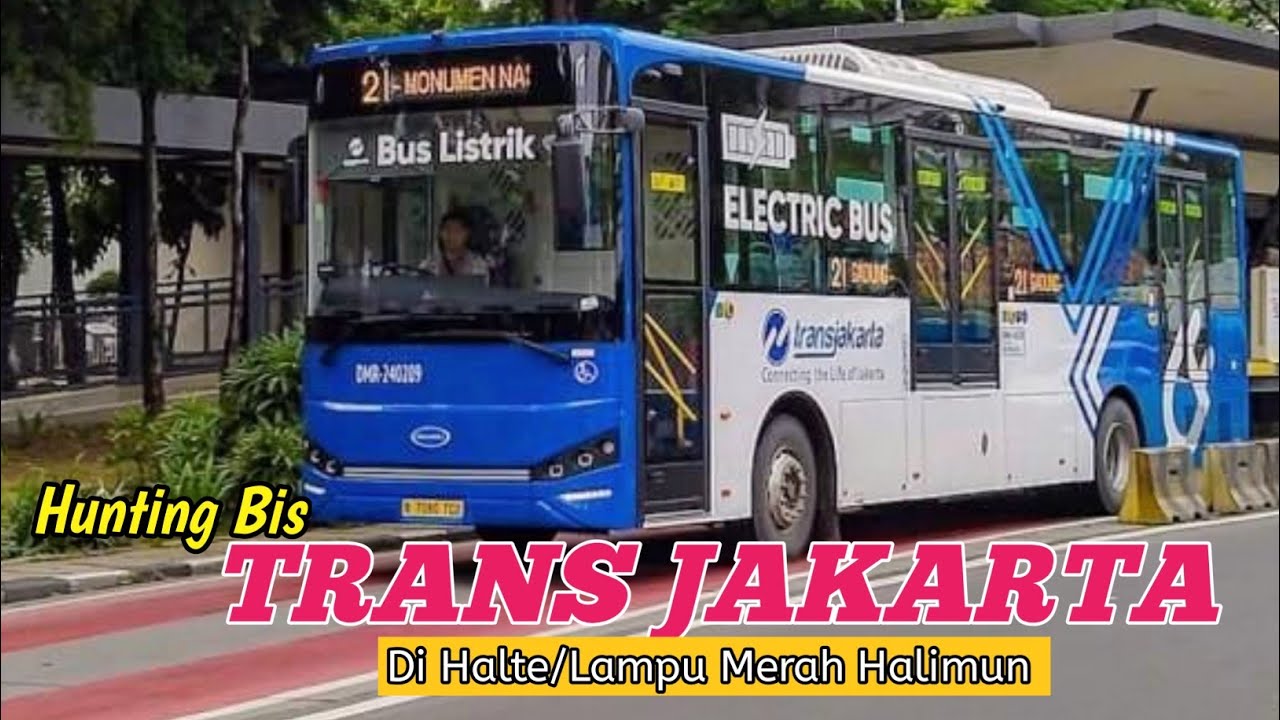HUNTING BIS TRANSJAKARTA DI HALTE/LAMPU MERAH HALIMUN 