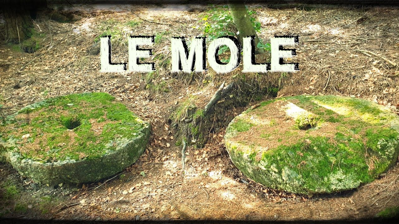 LE MOLE  