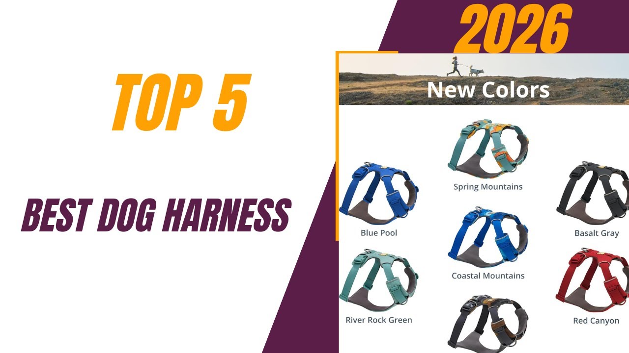 Top 5 Best Dog Harness In 2026 _ Dog Harness for Walking
