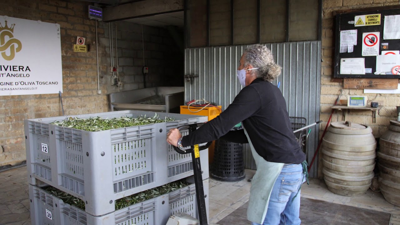 il nostro Olio