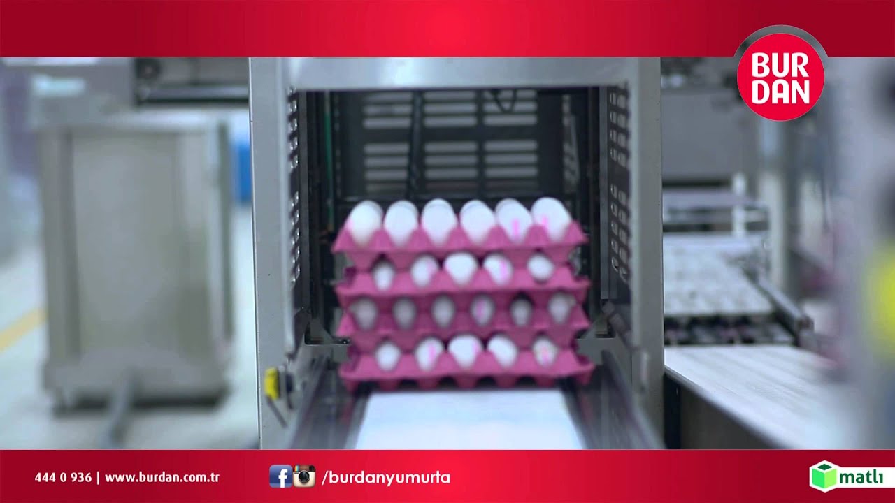 BURDAN YUMURTA - YUMURTANIN HİKAYESİ