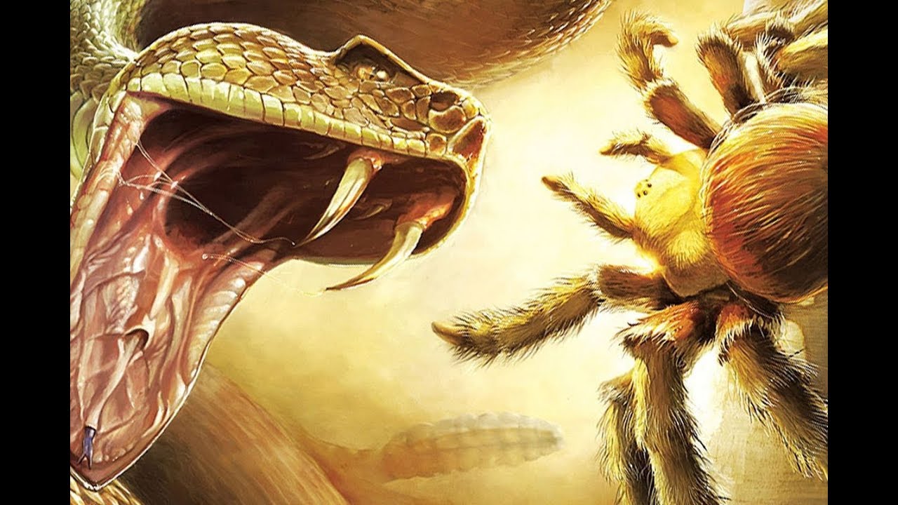 Deadly Creatures All Cutscenes Gameplay Walkthrough