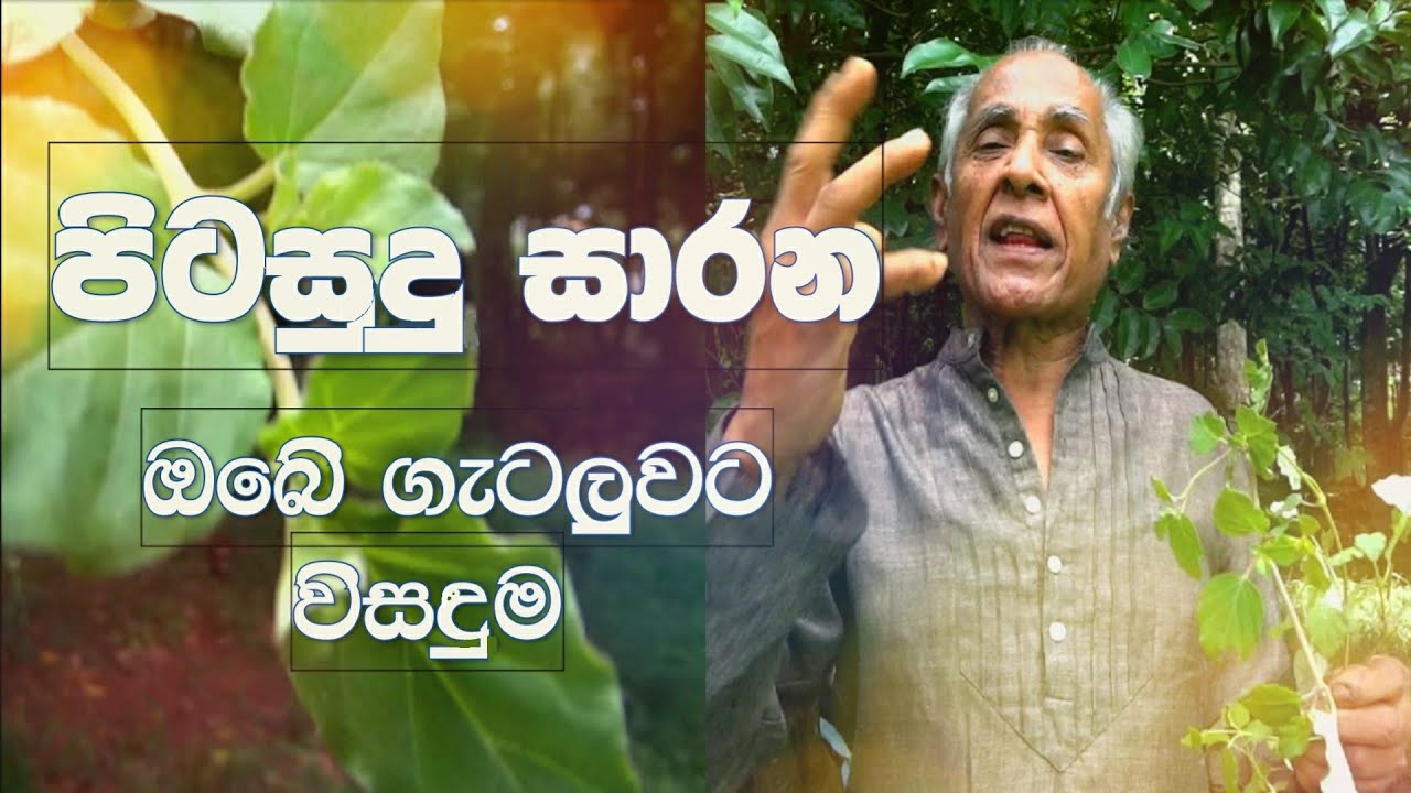 පිටසුදු සාරන - ඔබේ ගැටලුවට විසඳුම