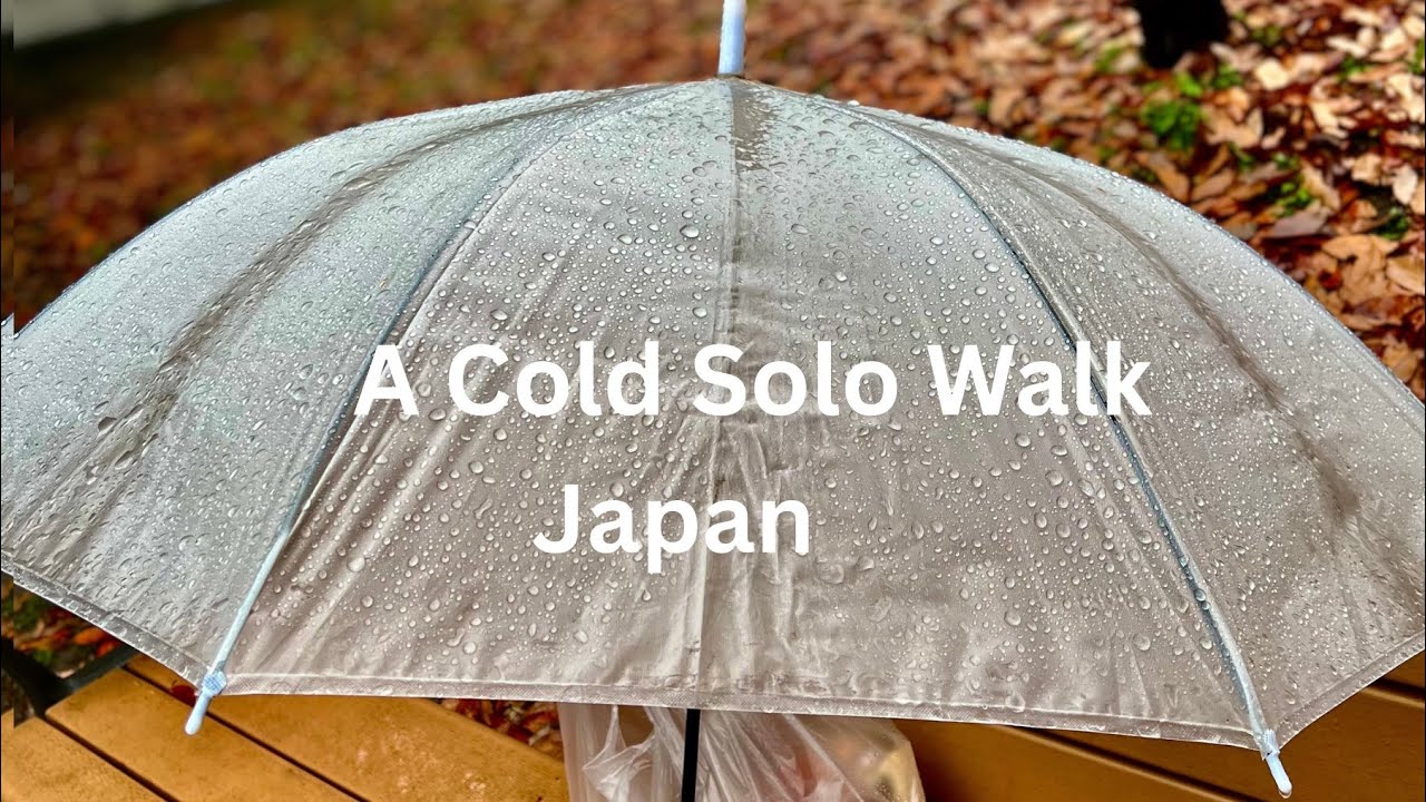 Silent Rain Walk in a Kyoto Park | Sleep & Relax#music #cozy #rain #voiceless 